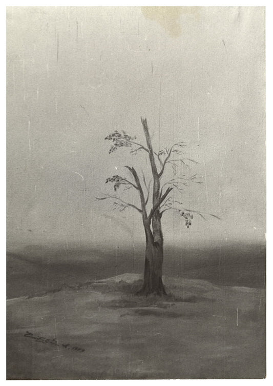 Study of Tree, 1979