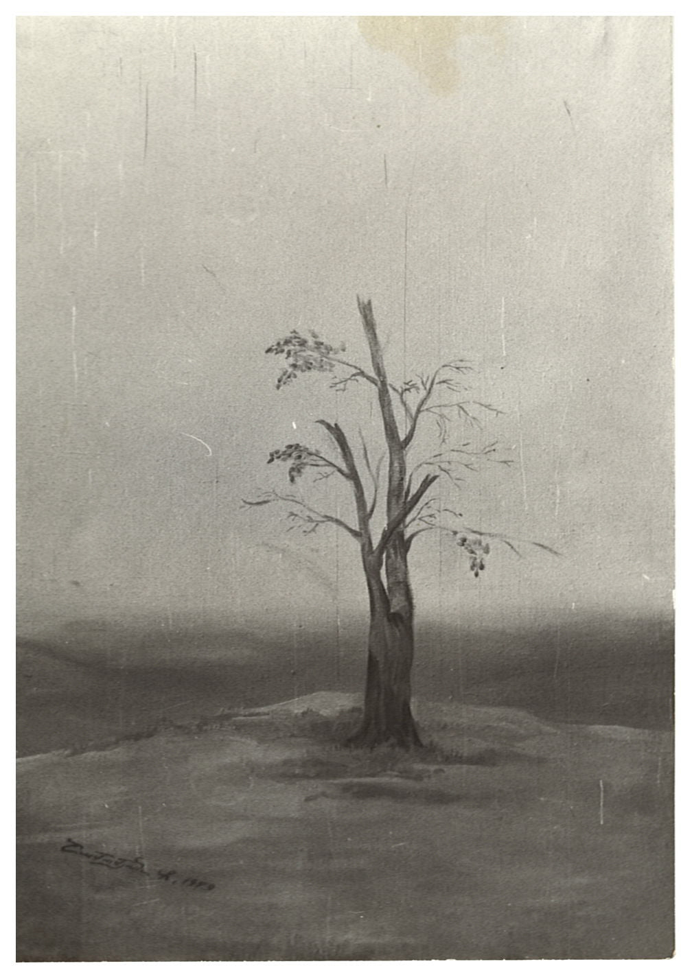 Study of Tree, 1979